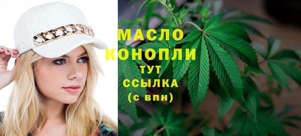 прущий лед Дмитриев