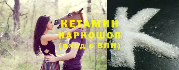 прущий лед Дмитриев