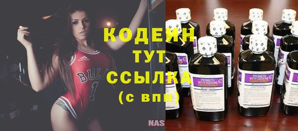 прущий лед Дмитриев