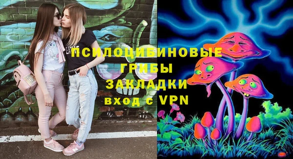 мяу мяу мука Дмитровск