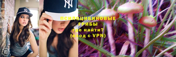мяу мяу мука Дмитровск