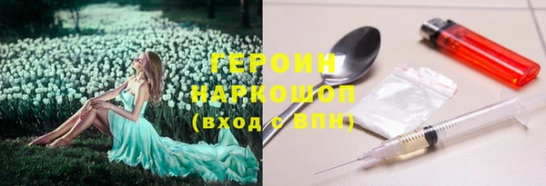 прущий лед Дмитриев