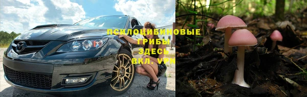 прущий лед Дмитриев
